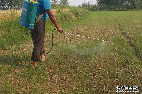 過(guò)量使用封閉除草劑的后果